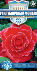 Бегония Клубничный фонтан F1  купить