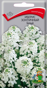 Иберис Белый зонтичный купить