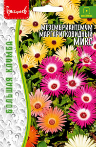 Мезембриантемум Микс маргаритковидный купить
