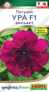 Петуния Ура F1 вельвет 7шт  купить