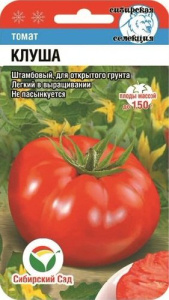 Томат Клуша  купить