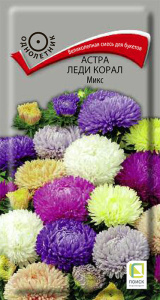 Астра Леди Корал Микс купить