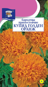 Бархатцы Купид Гольден Оранж махр. купить