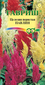 Целозия перистая Павлин,смесь  купить