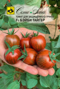 Томат Бэйби Тайгер F1 купить