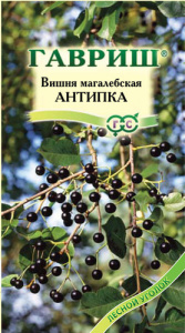 Вишня Антипка махалебская  купить