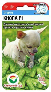 Огурец Кнопа F1 купить