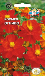 Космея Огниво  купить