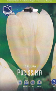 Тюльпан Фостера "Purissima" (1х10шт) купить