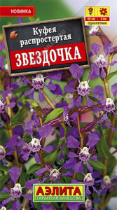 Куфея Звездочка  купить