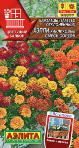 Бархатцы Хэппи карликовые, смесь сортов купить