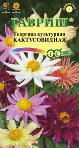 Георгина Кактусовидная смесь  купить