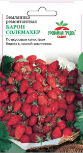 Земляника Барон Солемахер  купить
