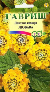 Лантана Камара Любава  купить