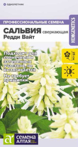 Сальвия Редди Вайт Сюрпрайз сверкающая купить