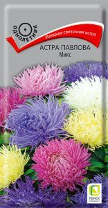 Астра Павлова Микс купить