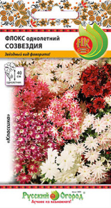 Флокс Созвездие смесь купить