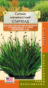 Ситник мечелистный СтарХеад  купить