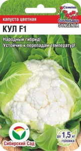 Капуста (цветная) Кул F1 Сингента  купить