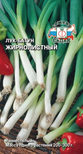 Лук Жирнолистный, батун купить