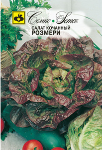 Салат Розмери кочанный  купить