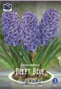 Гиацинт "Delfts Blauw" (1х3шт) купить