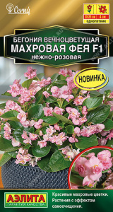 Бегония Фея F1 нежно-розовая вечноцветущая махровая  купить
