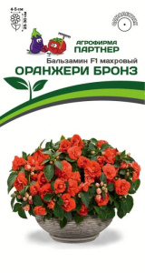 Бальзамин F1 Оранжери Бронс махровый купить