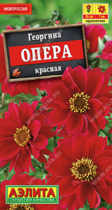 Георгина Опера красная купить
