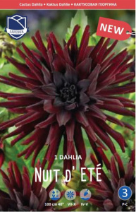 Георгина кактусовая Nuit d'Eté (1х1шт) купить