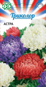 Астра Триколор пионовидная купить
