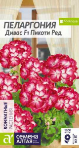 Пеларгония зональная Дивас F1 Пикоти Ред купить