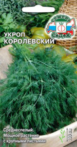 Укроп Королевский  купить