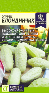 Огурец Блондинчик