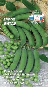Горох Янтар  купить