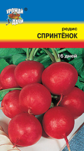 Редис Спринтенок 16 дней купить