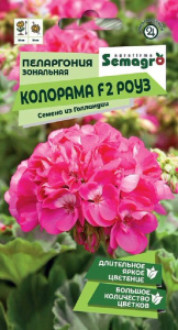 Пеларгония Зональная Колорама F2 Роуз  купить