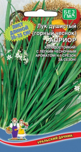 Лук (душистый) Априор (горный чеснок) купить