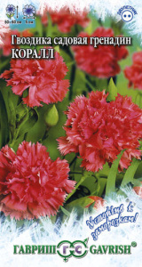 Гвоздика гренадин Коралл  купить