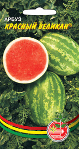 Арбуз Красный великан купить