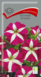 Петуния Звездопад купить