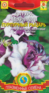 Датура (Дурман) Пурпурный рыцарь  купить
