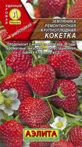 Земляника Кокетка  ремонтантная крупноплодная  купить