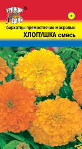 Бархатцы Хлопушка 0.3г, смесь прямостоячие купить