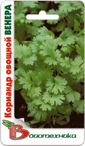 Кориандр Венера  купить