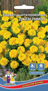 Бархатцы Джем Лимон отклоненные купить