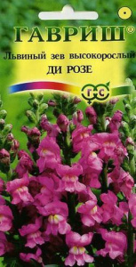 Львиный Зев Ди Розе  купить