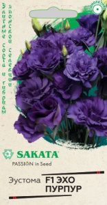 Эустома Эхо пурпур F1  купить