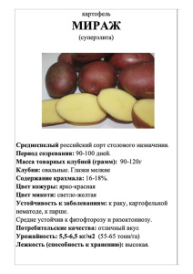 Картофель Мираж А5 фото купить