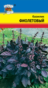 Базилик Фиолетовый  купить
